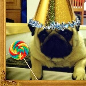 Meet your Posher, Lynne